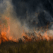 incendios
