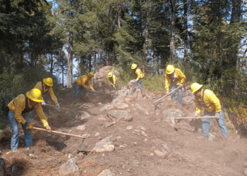 incendios forestales