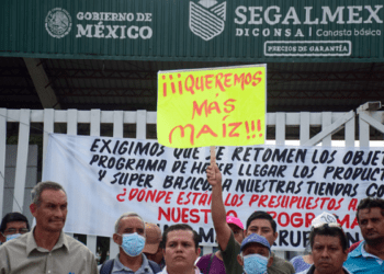 segalmex