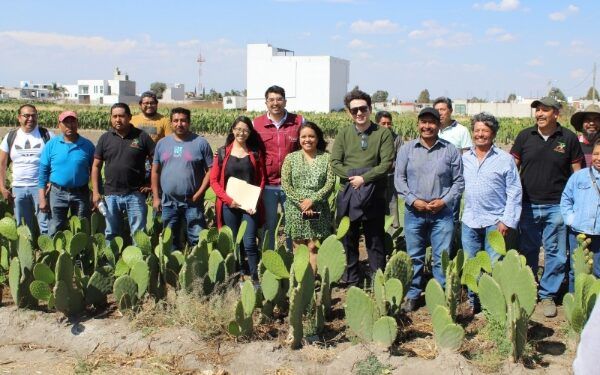 Cooperativas de San Andrés Cholula son beneficiadas con maquinaria para producción de nopal