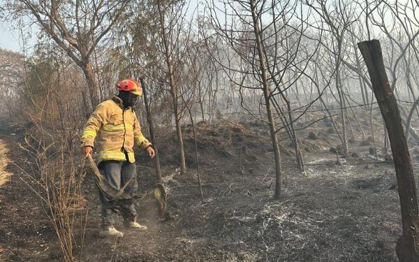 Alcaldesa exhorta a ciudadanos a evitar incendios forestales en Texmelucan