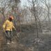 Alcaldesa exhorta a ciudadanos a evitar incendios forestales en Texmelucan