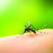 Puebla, tercero nacional en contagios de dengue