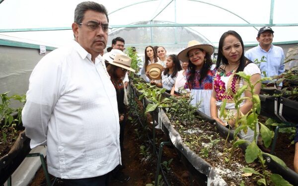 Más presupuesto para combatir carencia alimentaria: Céspedes