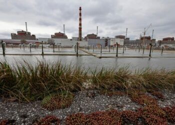 Rusia denuncia ataques ucranianos con drones contra la central nuclear de Zaporiyia