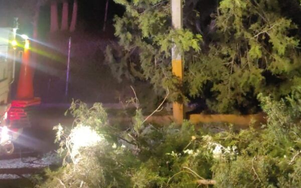 Viento provoca caída de árboles y estructuras en Texmelucan