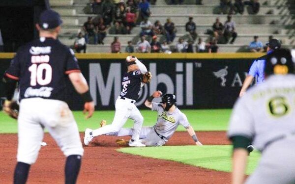 Vuelve a apalear Tigres a Pericos