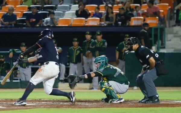 Despluman a Pericos