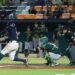 Despluman a Pericos