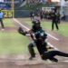 Abren serie los Pericos apaleando a Leones