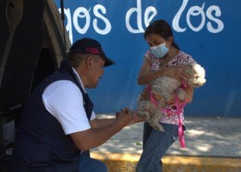 vacunacion antirrabica