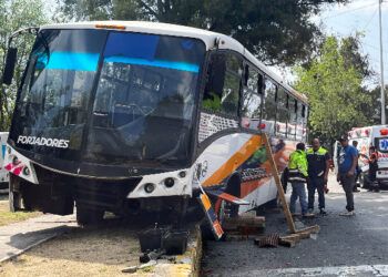 cree madero cronica transporte