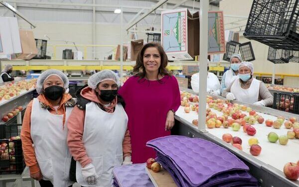 Crece actividad industrial, sube 5% en enero