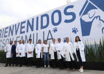 Migrantes abandonan su tierra hogares por necesidad: Papa Francisco