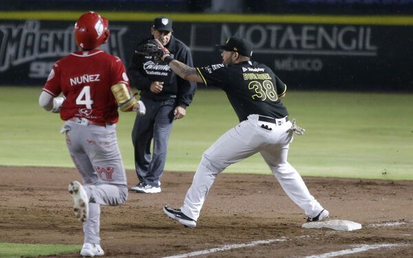 Despluman a Pericos