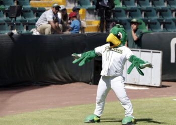 Regresan los Pericos para recibir a El Águila
