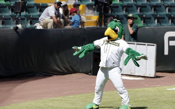 Regresan los Pericos para recibir a El Águila