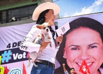 LA ALIANZA OPOSITORA Y LA DERROTA EN EDOMEX. APUNTES PARA PUEBLA