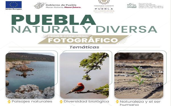 medio ambiente fotos