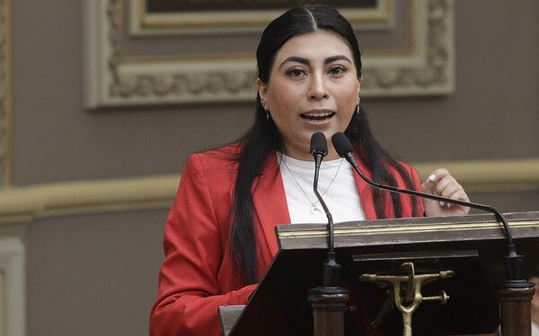 Prohibiría participar a deudores alimentarios y violentadores, señala diputada