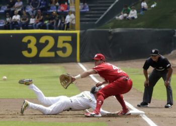 pericos diablos rojos
