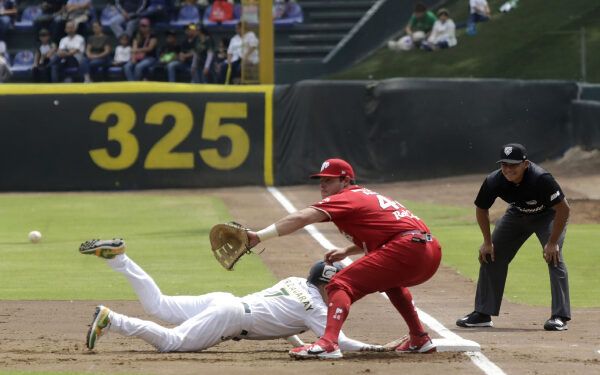 pericos diablos rojos