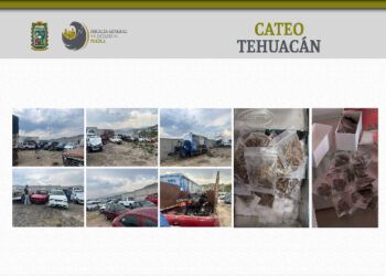 tehuacan cateo