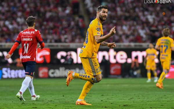 tigres ok