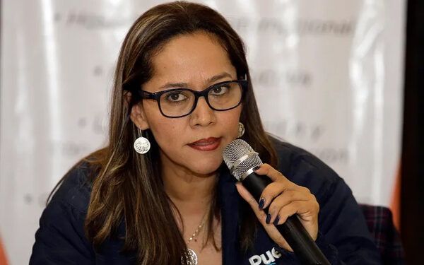 Tía obtiene custodia de pequeña maltratada