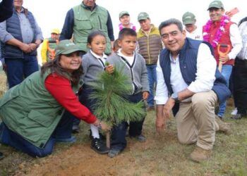 Promoverán cuidado de Piedras Encimadas