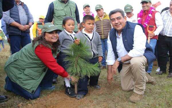 Promoverán cuidado de Piedras Encimadas