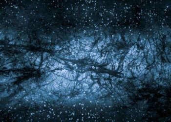 El susurro del Universo; búsqueda de los bosones oscuros