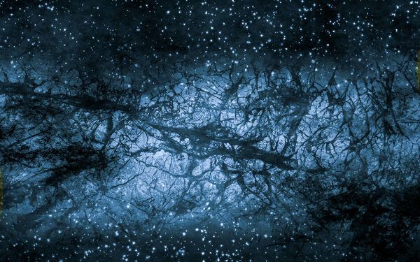 El susurro del Universo; búsqueda de los bosones oscuros