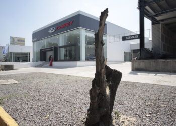 Propondrán ley que garantice reparación del daño ambiental