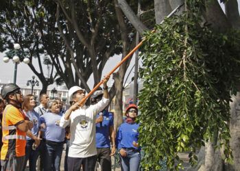 Hacen oficial la llegada de Brayan Angulo a La Franja