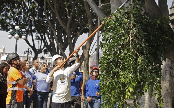 Hacen oficial la llegada de Brayan Angulo a La Franja