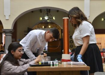 Reforestar, pieza clave para desarrollo sustentable