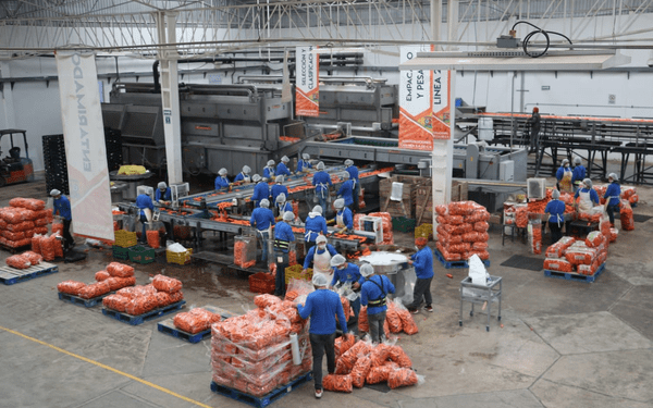 Crece el valor de la industria manufacturera