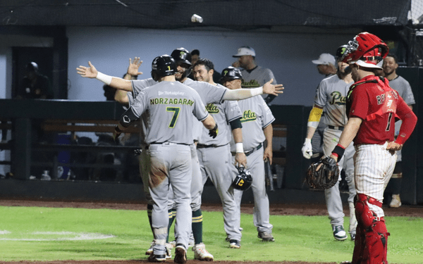 Vuelan alto Pericos en Campeche