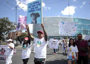 Los adolescentes, blanco de dealers