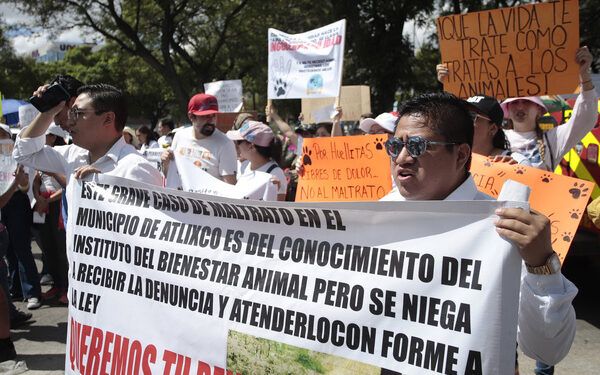 Los adolescentes, blanco de dealers