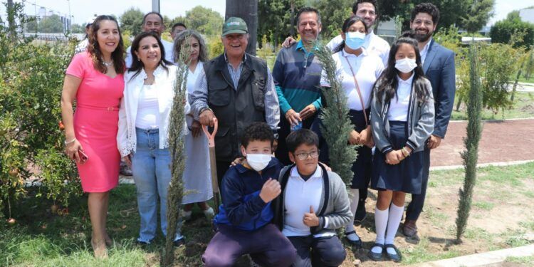 medio ambiente va