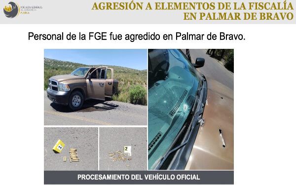 palmar bravo ok
