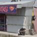 Autoridades de los tres niveles indagan hallazgo de huachitúnel en Puebla