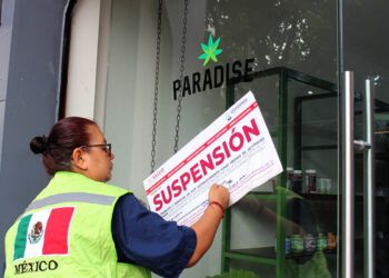 Cofepris confisca productos derivados de la marihuana de empresa ligada a Fox