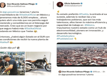 LOS REFLEJOS (Y EL FUTURO) DE OLIVIA SALOMÓN