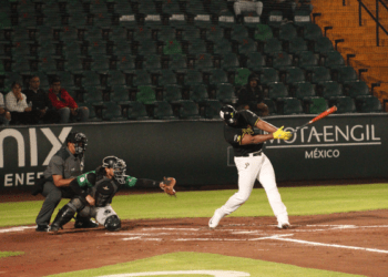 Olmecas despluman a Pericos