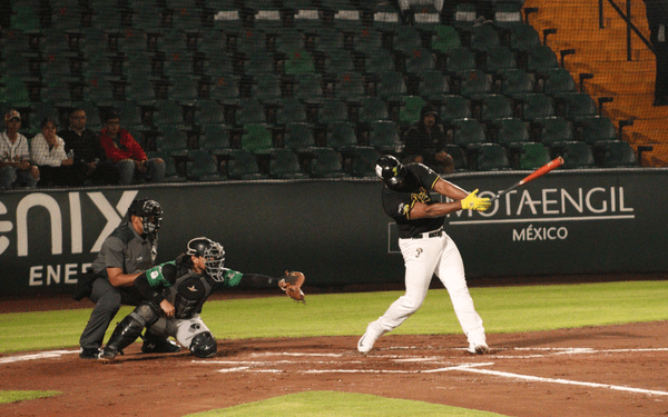Olmecas despluman a Pericos