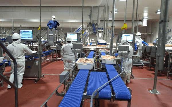 Crece 4.1% actividad industrial estatal