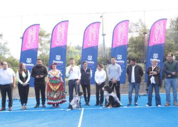 Rescatarán al menos a 100 perros del relleno sanitario